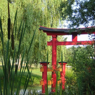 Mystische Außendekoration im asiatischen Stil – Maison Pavane