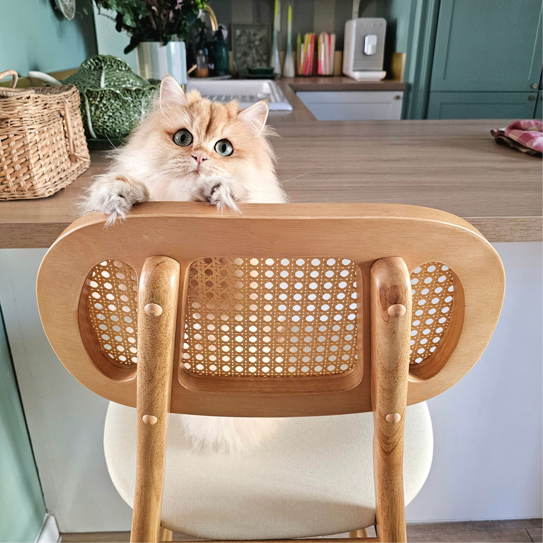 @ma_maison_mi_casa_