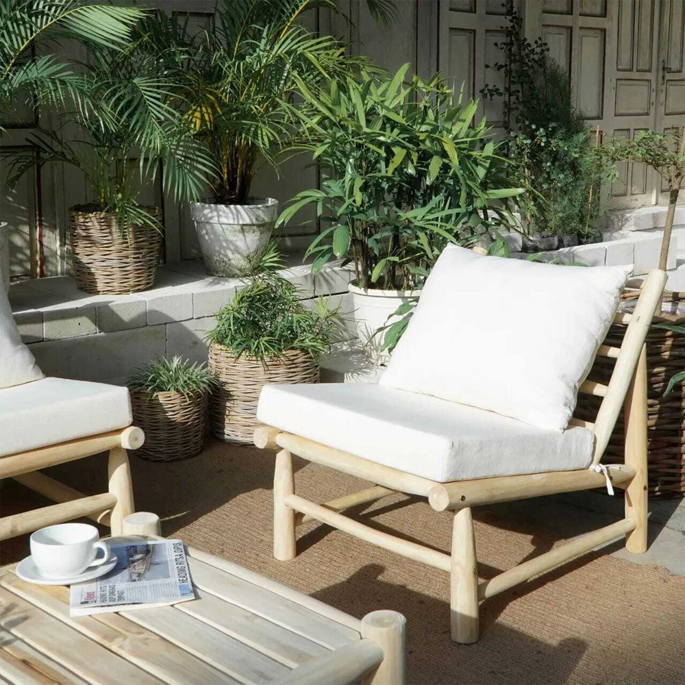 acquistare una poltrona in ramo di teak con cuscino bianco