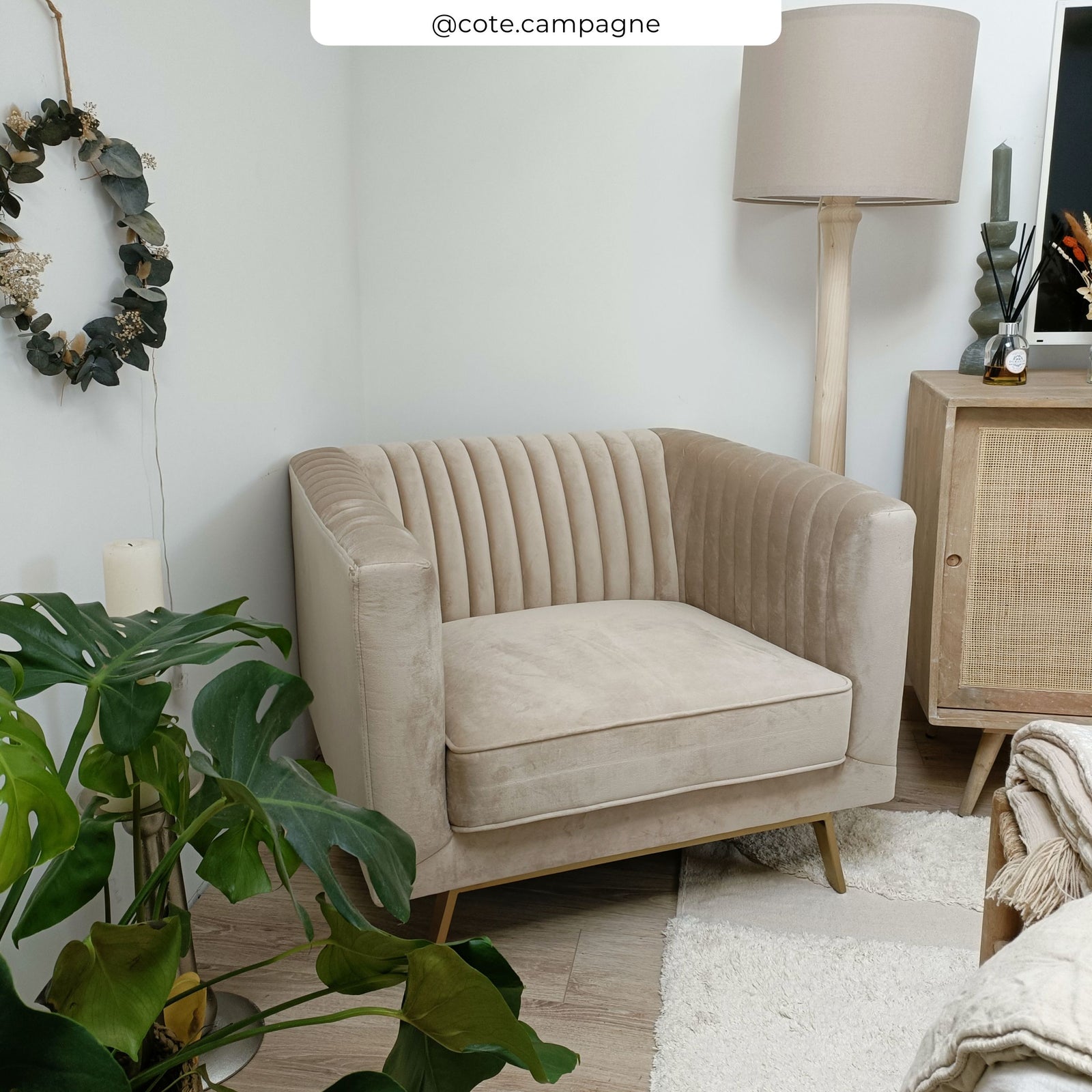 acquistare poltrona in velluto beige ugc