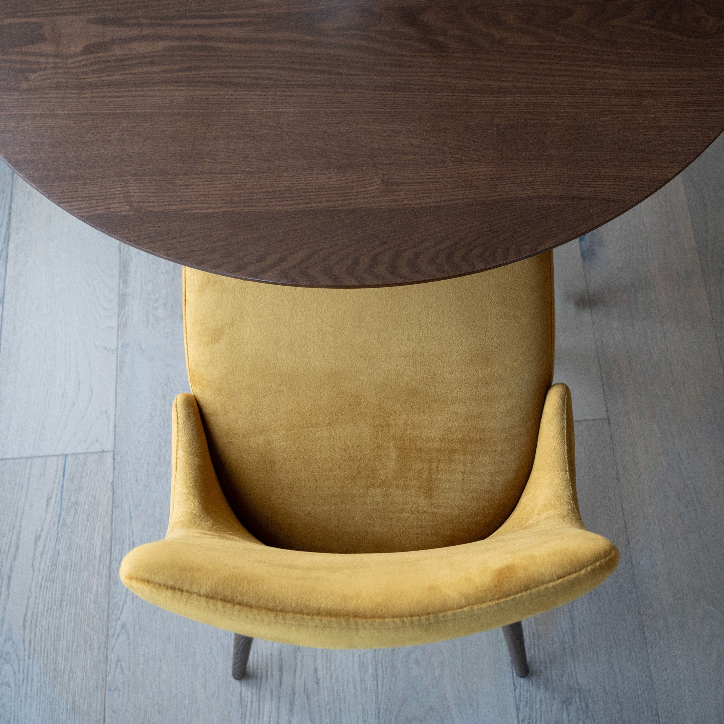 sedia in velluto giallo set di 2 vinni