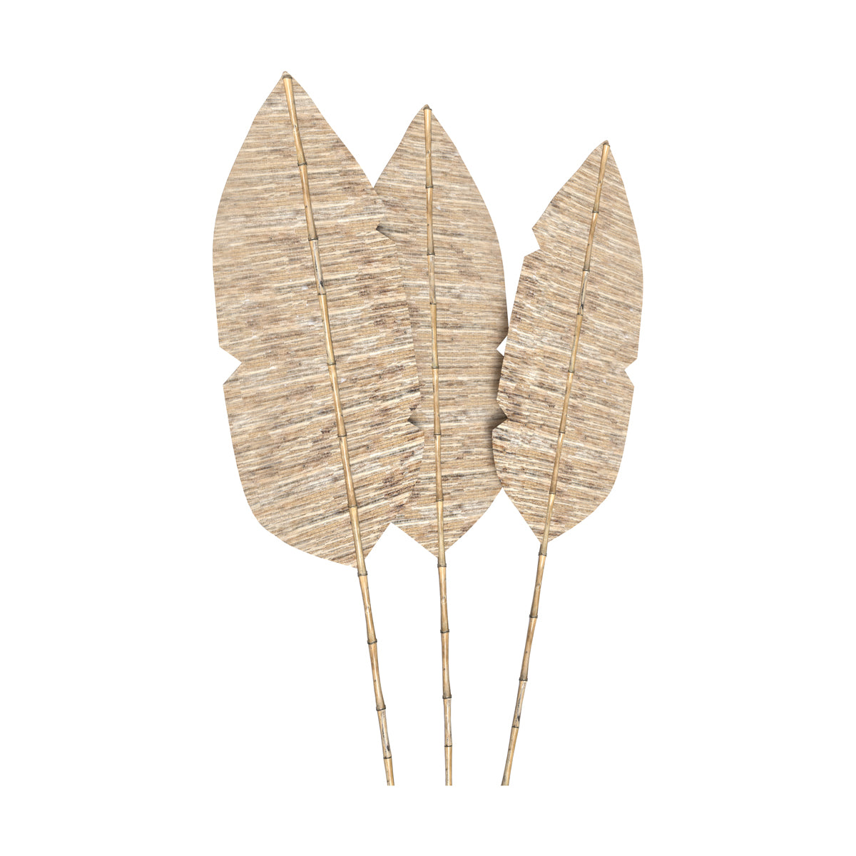 Palme, set da 3, grande