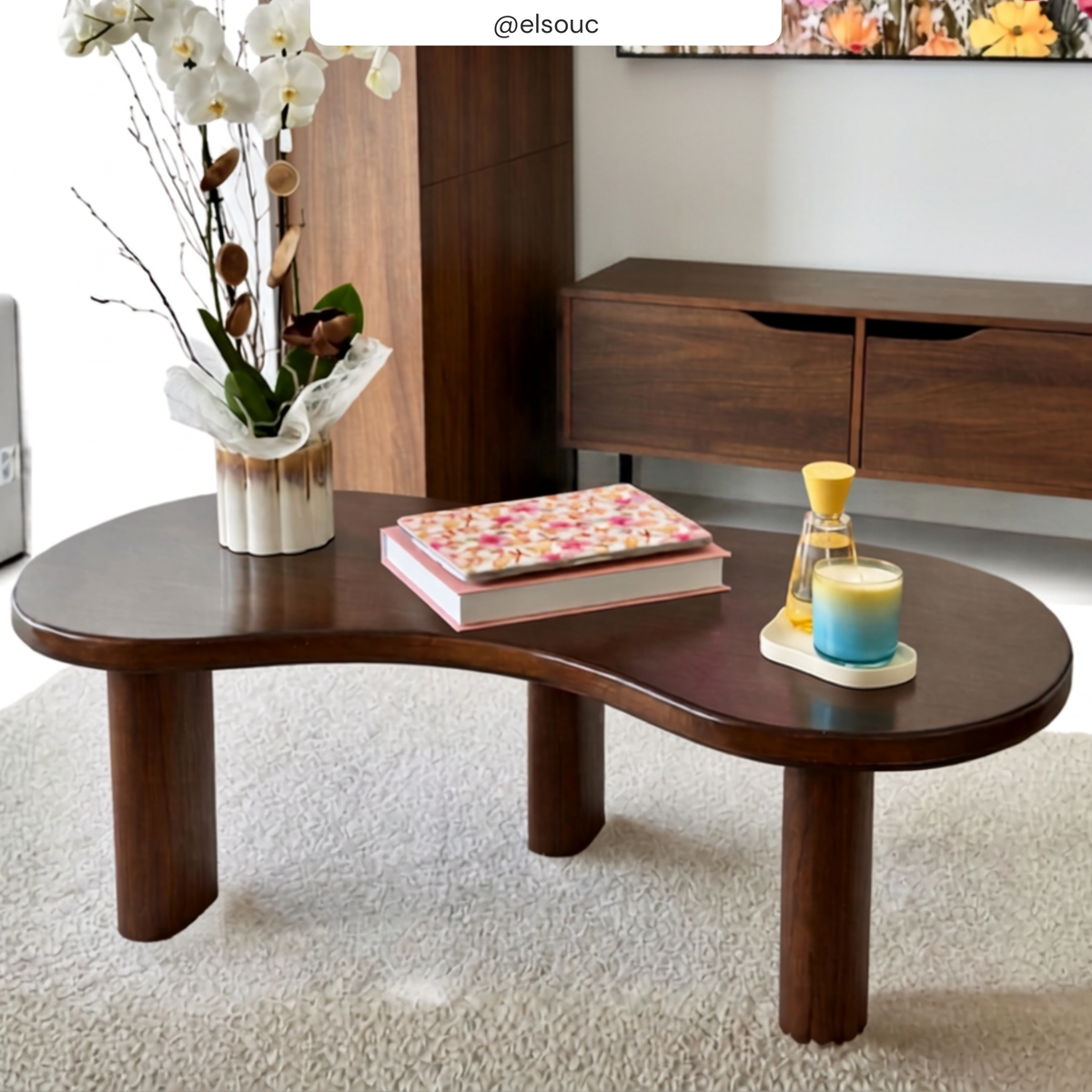 Table basse marron foncée organique livre coloré plante – Maison Pavane